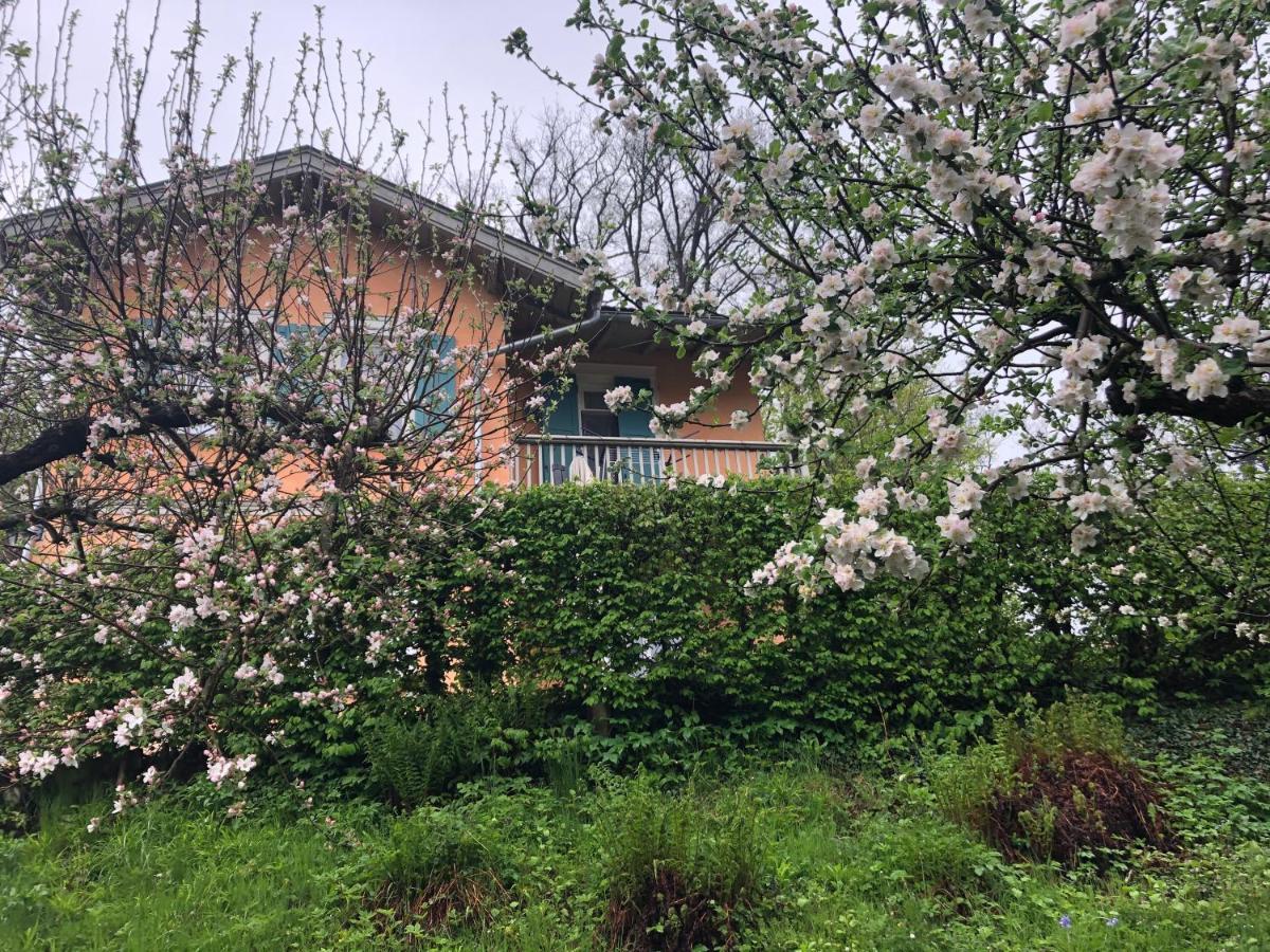 Ferienhaus Айзенах Екстериор снимка